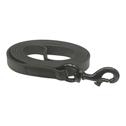6FT ASAT BIOTHANE LEASH