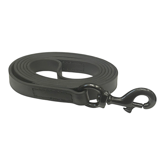 6FT ASAT BIOTHANE LEASH