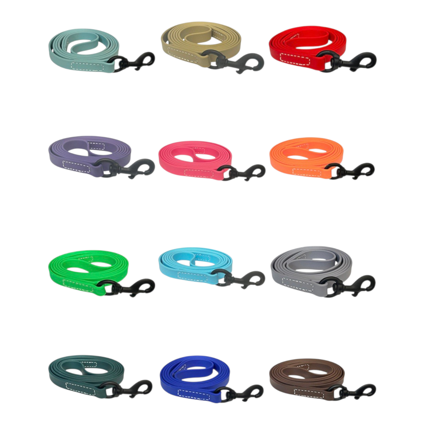 6FT ASAT BIOTHANE LEASH