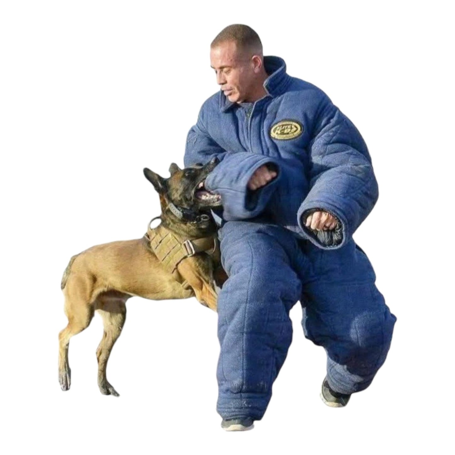 ELITE K9 HEAVY WEIGHT BITE SUIT