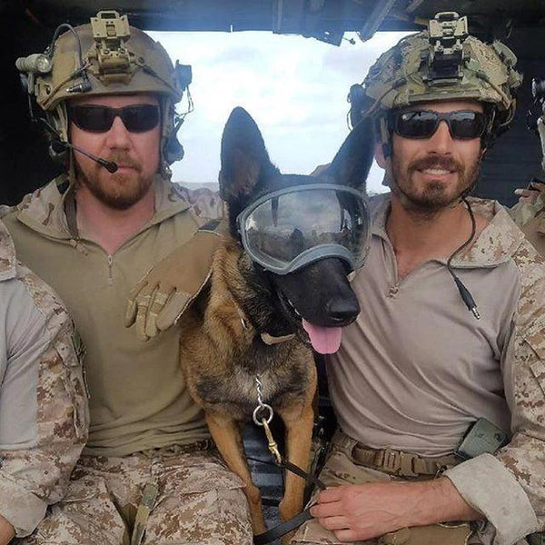 Original Rex Specs Top Notch K9 Equipment