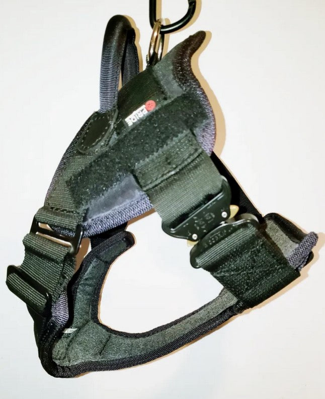 PROFESSIONAL WORKING HARNESS with COBRA BUCKLE - Top Notch K9 Equipment
